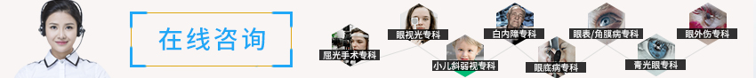 ������ѯ