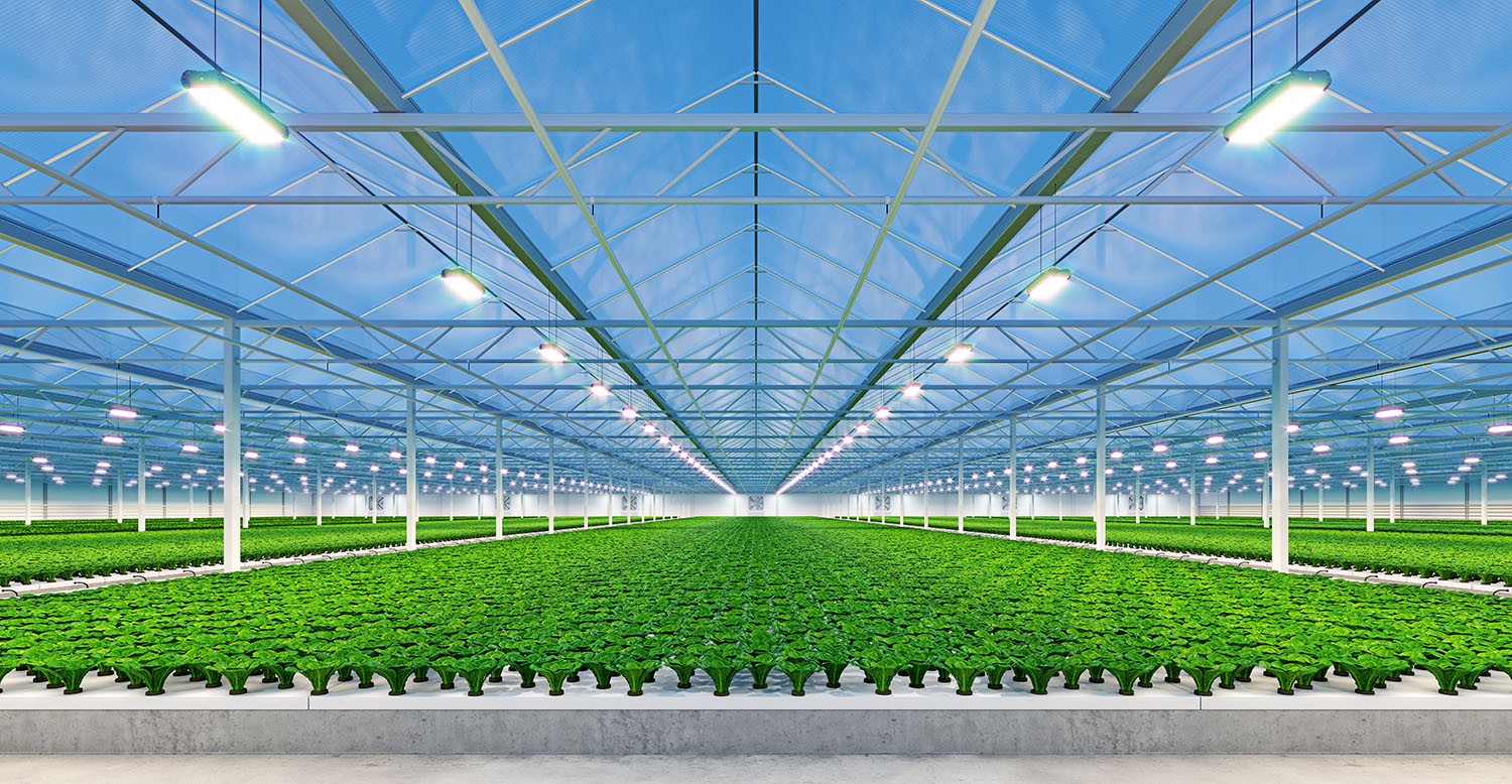 inv-dam-505439_Horticulture_Lighting.jpg